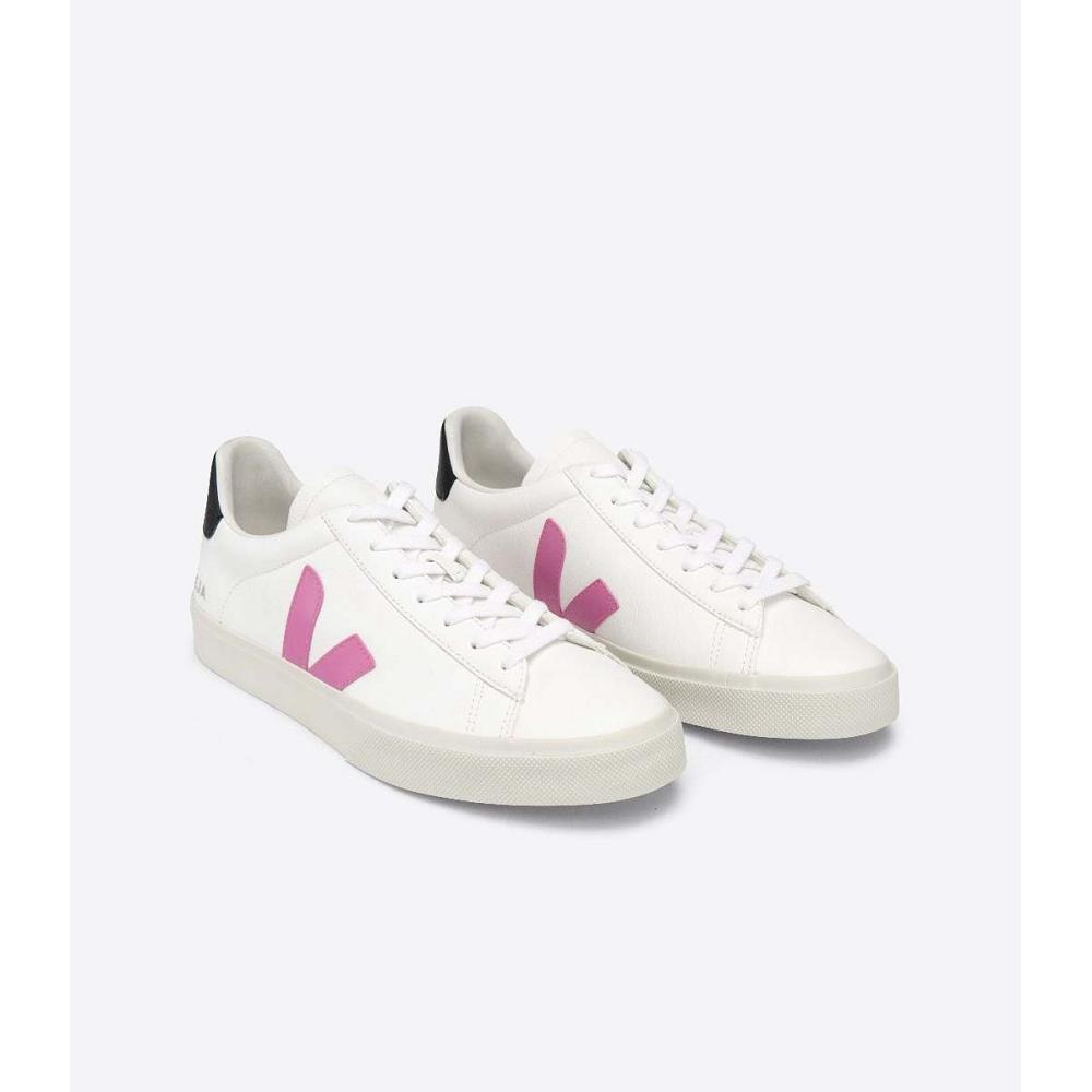 Women's Veja CAMPO CHROMEFREE Low Tops Sneakers White/Purple | SG 597FDN